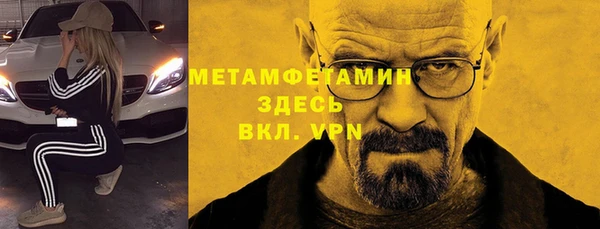 метадон Богданович