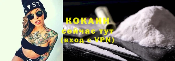 метадон Богданович
