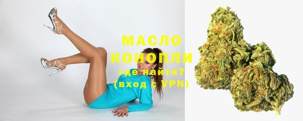 метадон Богданович