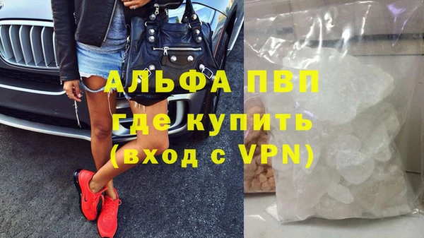 метадон Богданович