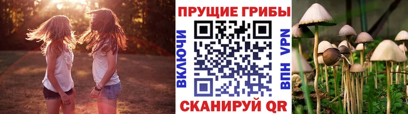 купить наркотики сайты  MEGA как зайти  дарк нет как зайти  Харабали  Галлюциногенные грибы ЛСД 